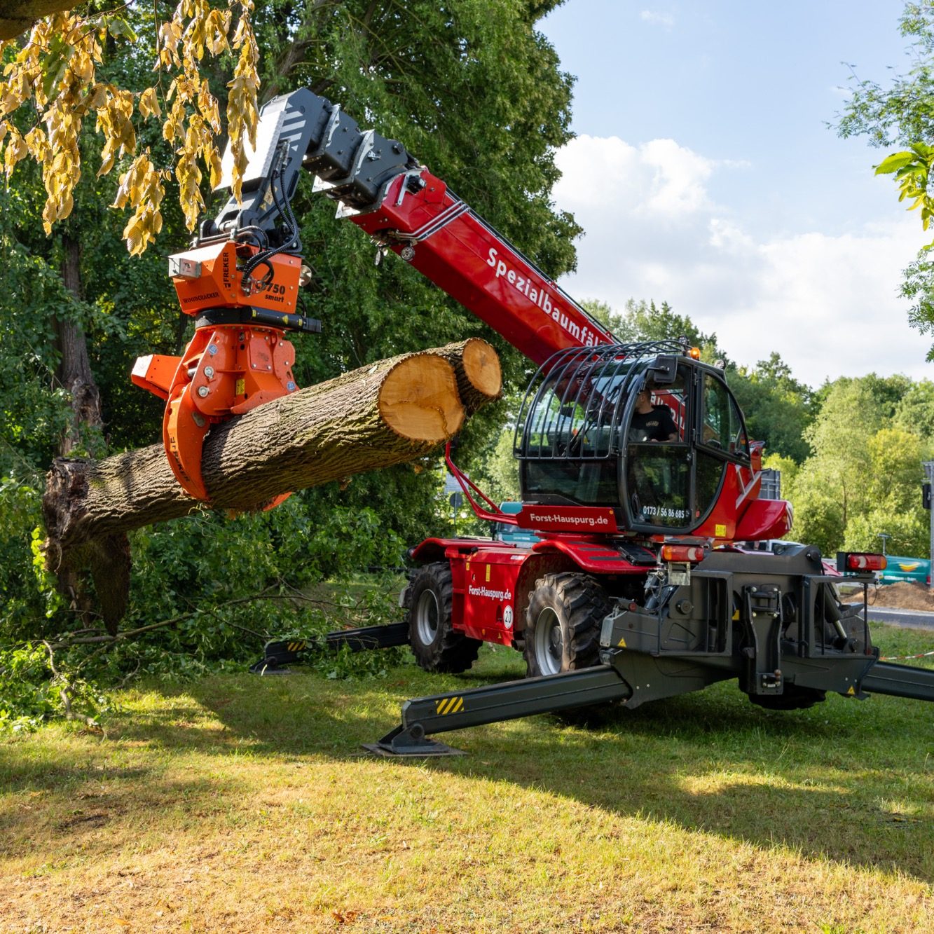 Spezialfällungen mit einem Fällgreifer auf Allrad-Basis